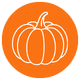 Pumpkin Icon with orang background